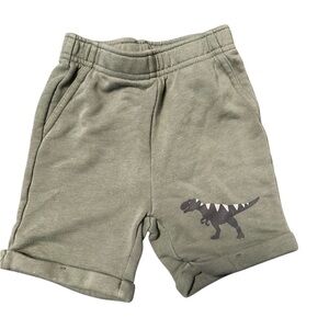 Pekkle Kids Toddler Boy Soft Pull On Dinosaur Print Shorts - Green